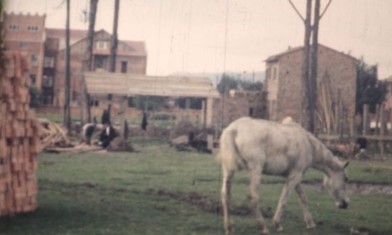 06 Colegio Americano de bogota Colegios trilingue Mejores Colegios (6)