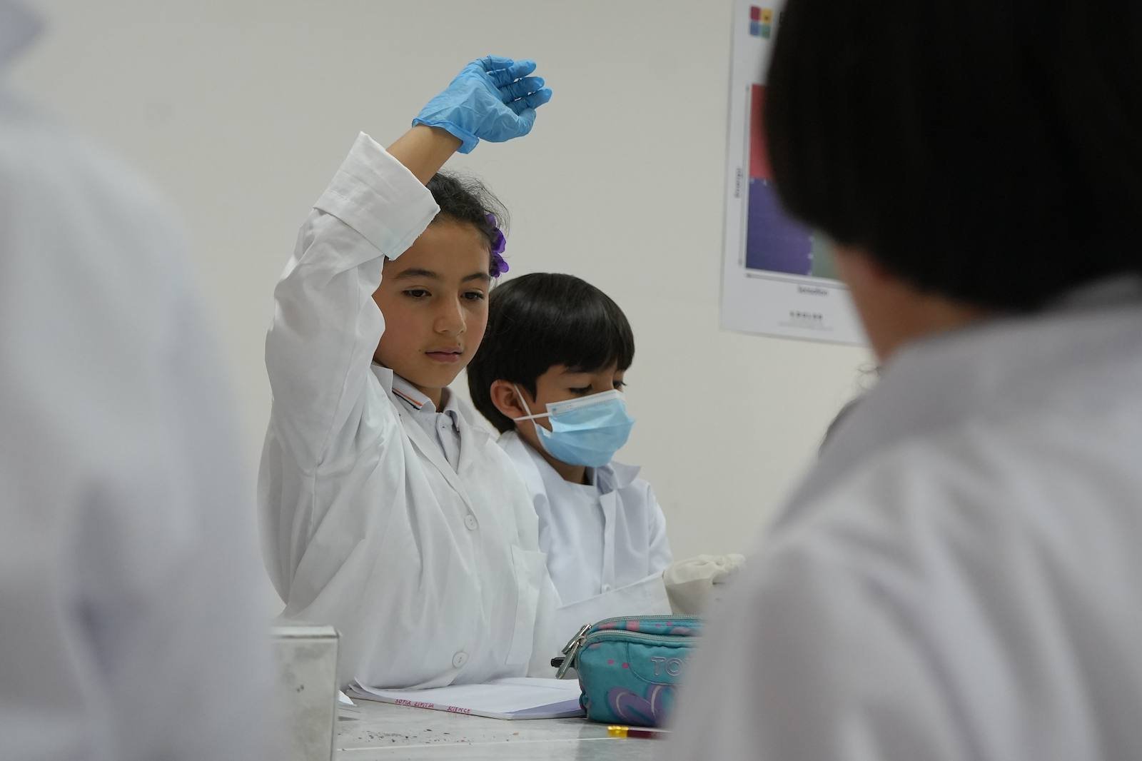 Pequeños Científicos – Colegio Americano de Bogotá Bilingüe